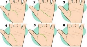 Com’è la Linea della Vita sul Palmo della tua Mano? Avrai Successi Se…