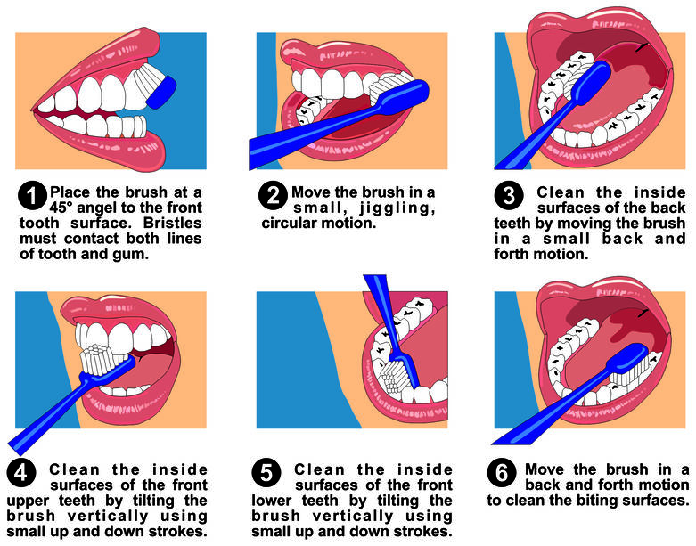 come lavare i denti con lo spazzolino da denti