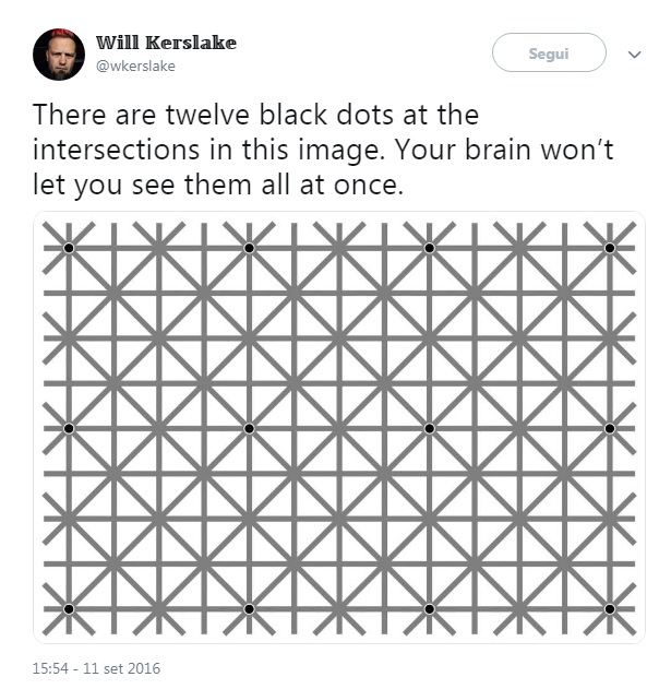 Illusione ottica di Ninio: quanti puntini vedi nella foto?