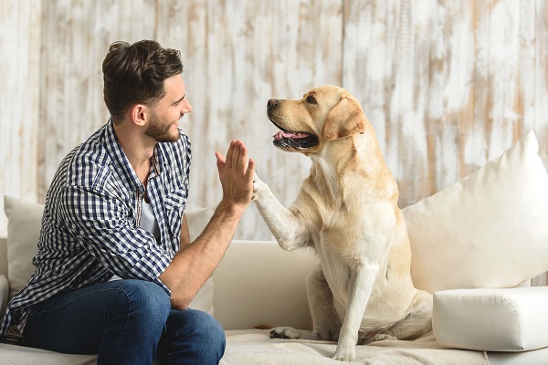 avere un cane fa bene alla salute e allunga la vita