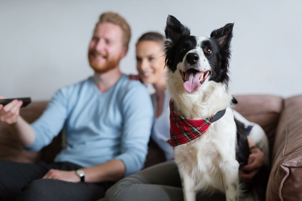 Avere un cane fa bene alla salute e allunga la vita