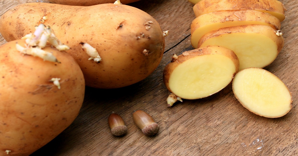 Le Patate Germogliate Si Possono Mangiare 
